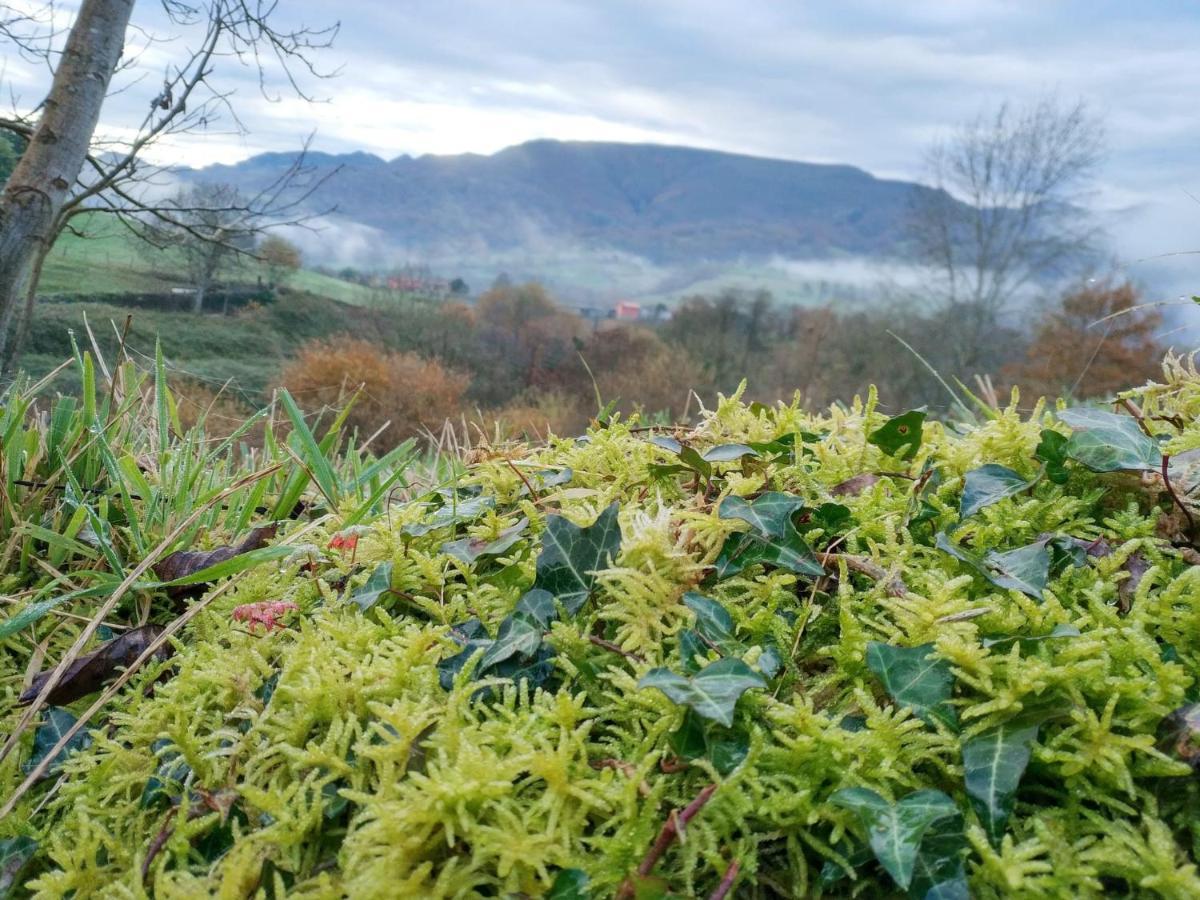 El Balcon Del Horreo Villa Pilona ภายนอก รูปภาพ